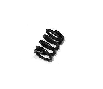 EC PAL-P73-22006, BACK VALVE SPRING
