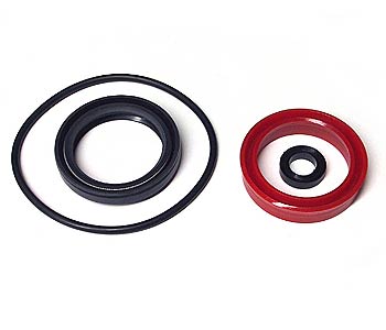 BT 22307, Lift Cylinder Kit