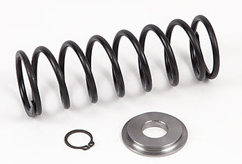 BT 65245-KIT, Spring  and Cap Assembly