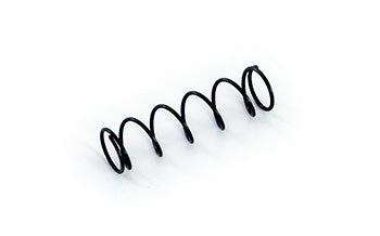 BJ 1120-343003-00, Spring