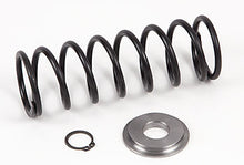 BT 65245-KIT, Spring  and Cap Assembly