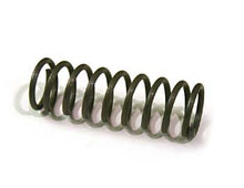 BG 111-023, Spring  