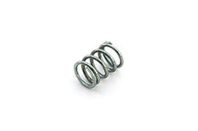 PC G001102, Spring  