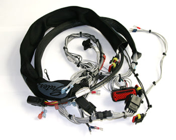 RA 1042977, Main Harness
