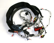 RA 1042977, Main Harness