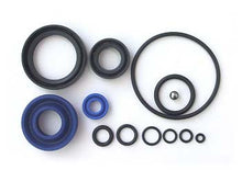 BI 52103704, Seal Kit (52103703)  